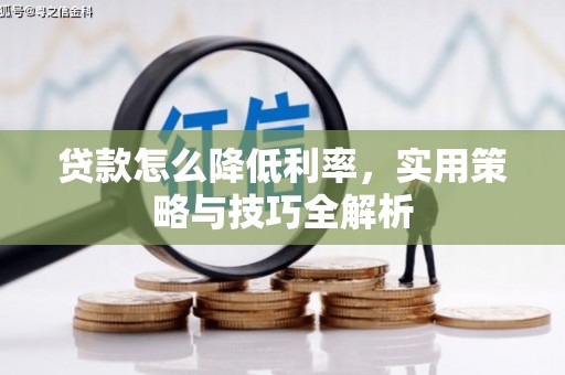 洛宁贷款怎么降低利率，实用策略与技巧全解析