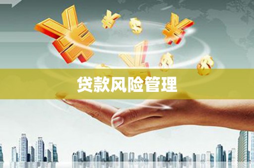 洛宁贷款风险管理