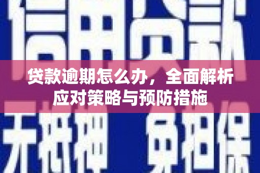 洛宁贷款逾期怎么办，全面解析应对策略与预防措施