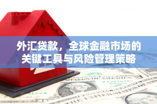 洛宁外汇贷款，全球金融市场的关键工具与风险管理策略