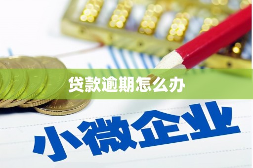 洛宁贷款逾期怎么办