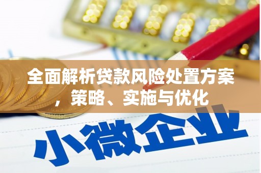 洛宁全面解析贷款风险处置方案，策略、实施与优化