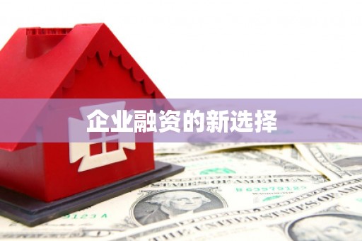 洛宁企业融资的新选择