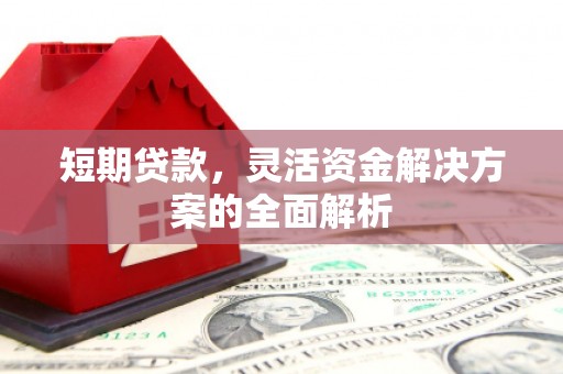 洛宁短期贷款，灵活资金解决方案的全面解析