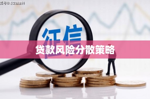 洛宁贷款风险分散策略