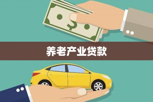洛宁养老产业贷款