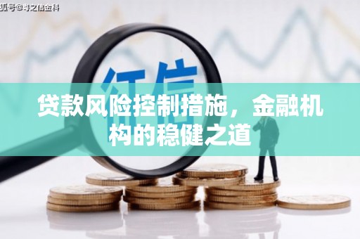 洛宁贷款风险控制措施，金融机构的稳健之道