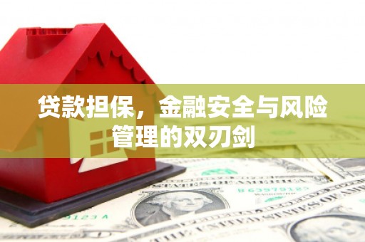 洛宁贷款担保，金融安全与风险管理的双刃剑