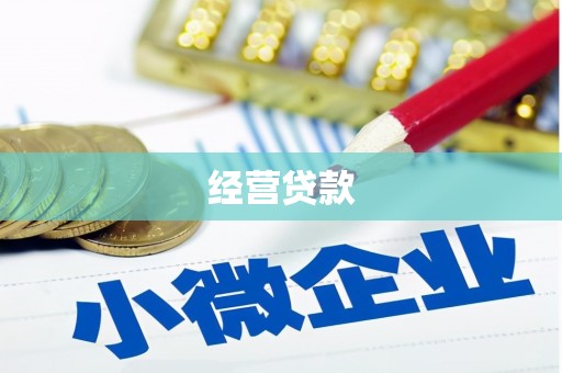 洛宁经营贷款