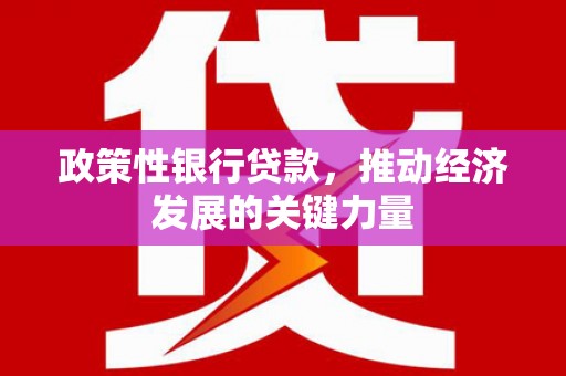 洛宁政策性银行贷款，推动经济发展的关键力量