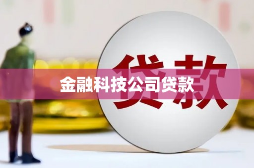 洛宁金融科技公司贷款