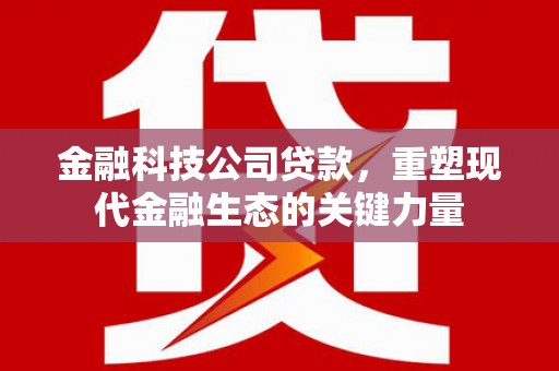 洛宁金融科技公司贷款，重塑现代金融生态的关键力量