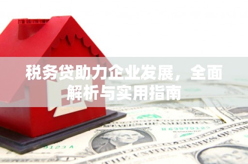 洛宁税务贷助力企业发展，全面解析与实用指南