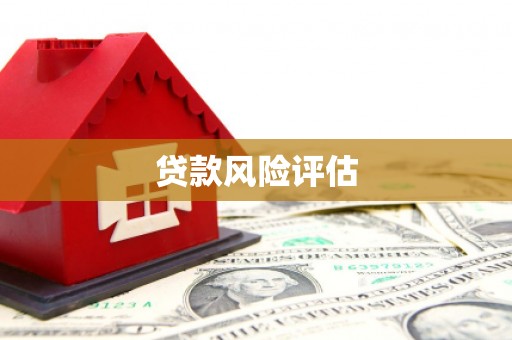 洛宁贷款风险评估