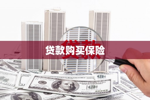 洛宁贷款购买保险
