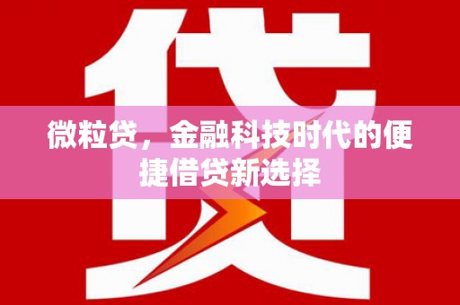 洛宁微粒贷，金融科技时代的便捷借贷新选择