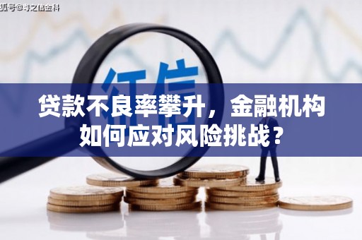 洛宁贷款不良率攀升，金融机构如何应对风险挑战？