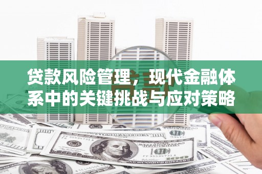 洛宁贷款风险管理，现代金融体系中的关键挑战与应对策略