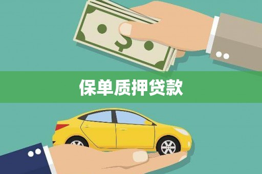 洛宁保单质押贷款