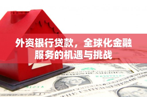 洛宁外资银行贷款，全球化金融服务的机遇与挑战