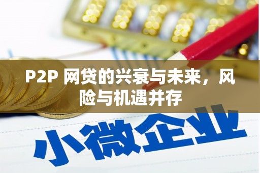 洛宁P2P 网贷的兴衰与未来，风险与机遇并存