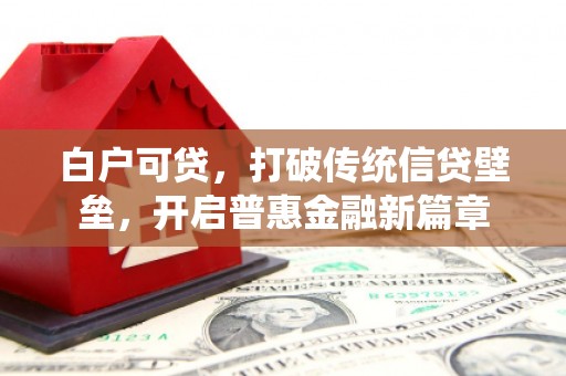 洛宁白户可贷，打破传统信贷壁垒，开启普惠金融新篇章