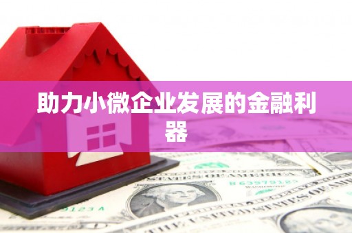 洛宁助力小微企业发展的金融利器