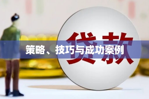 洛宁策略、技巧与成功案例