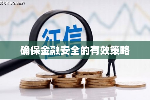 洛宁确保金融安全的有效策略