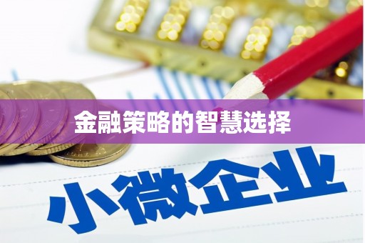 洛宁金融策略的智慧选择
