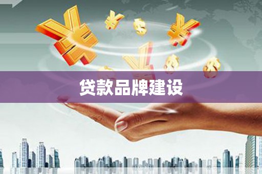 洛宁贷款品牌建设