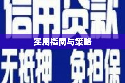 洛宁实用指南与策略